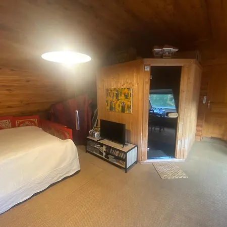 Spacieuse Avec Sauna *